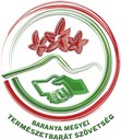 BMTSZ logokicsi