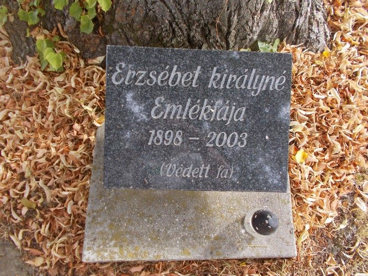 erzsebet kiralyne faja mecsekfalu2