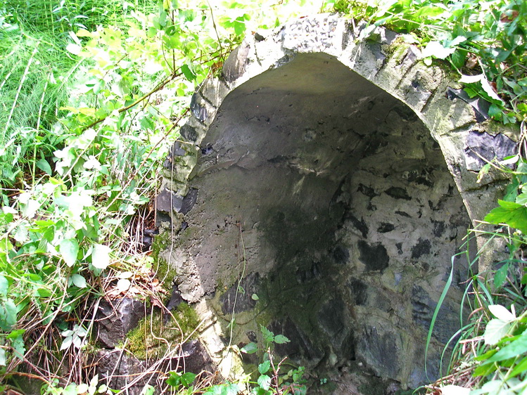 Fust-forras