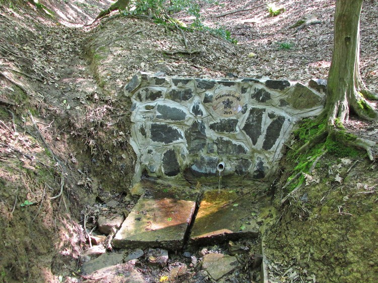 andorlaki forras3