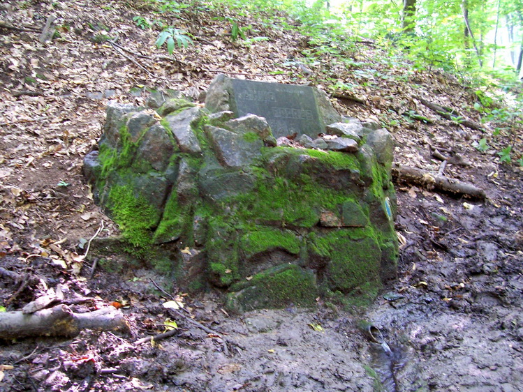 aniko-forras moragy