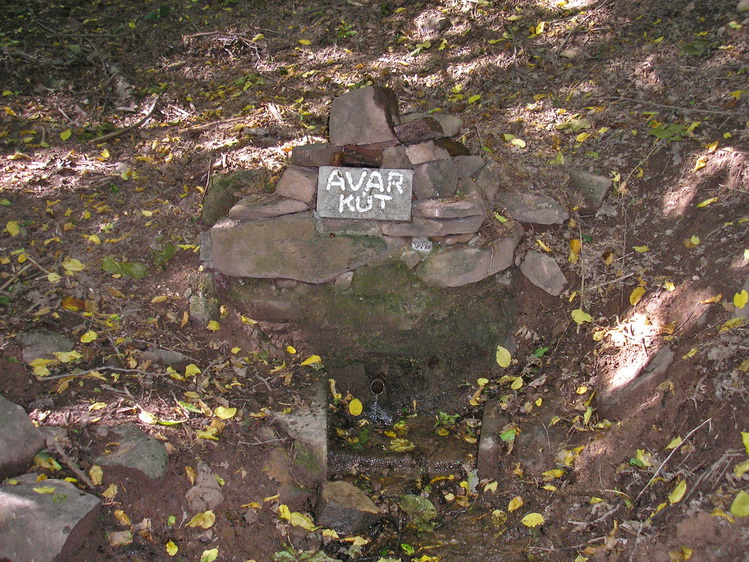 avar kut