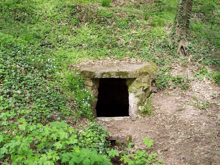 bajmi-kut