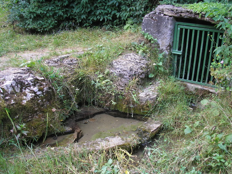 beke-forras