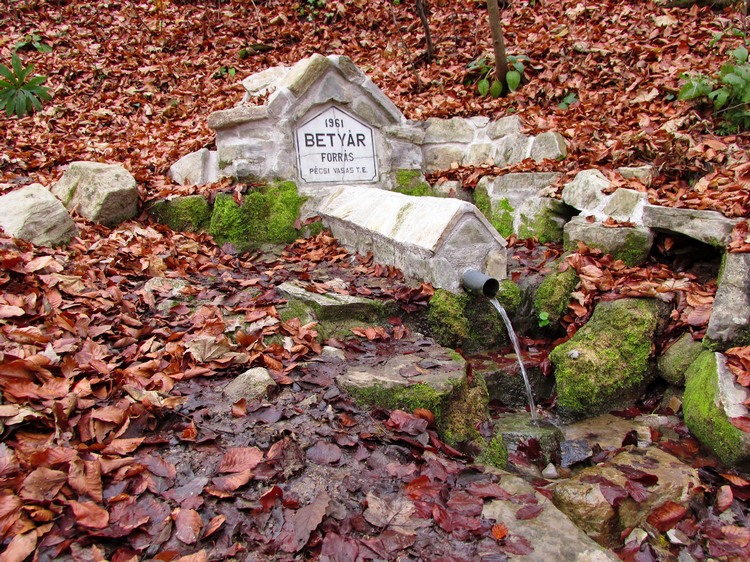 betyar forras 3