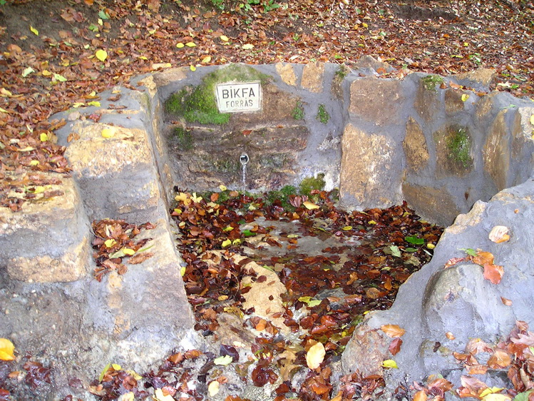bikfa-forras
