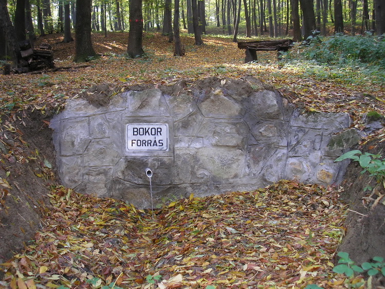 bokor-forras