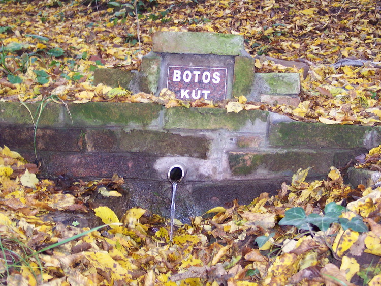botos-kut