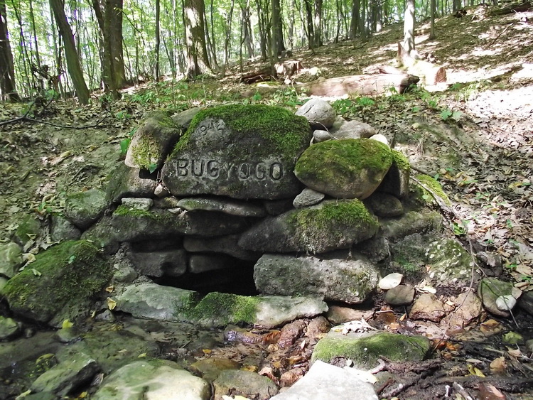 bugyogo forras2