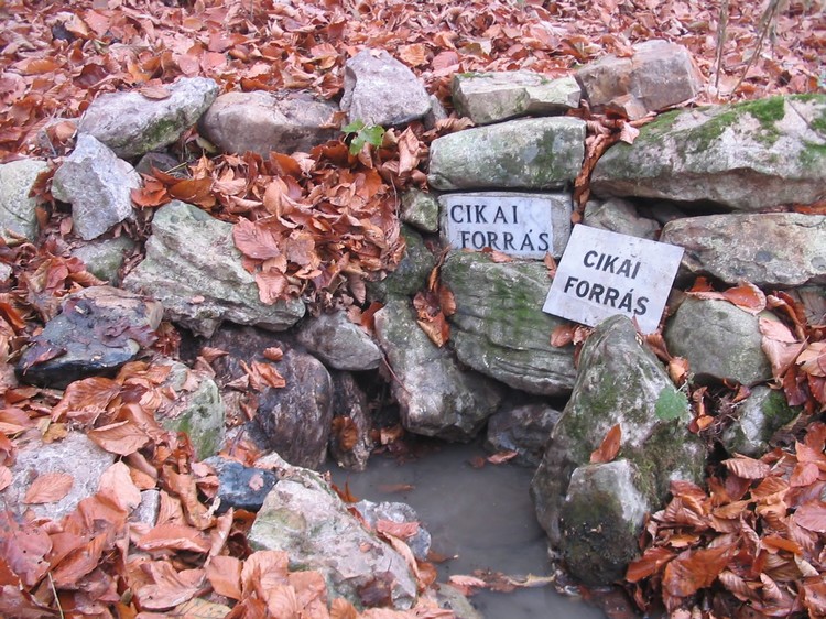 cikaiforras
