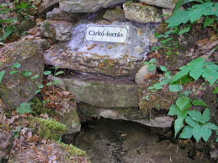 cirko-forras1