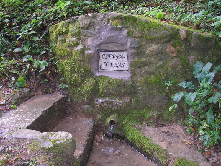 cserfa-forras