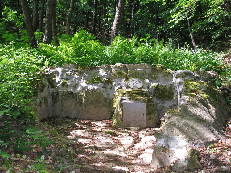 csokonay-kut