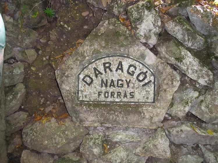 daragoi nagy-forras