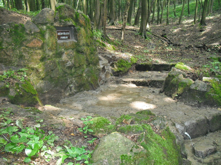 dervolgyi forras