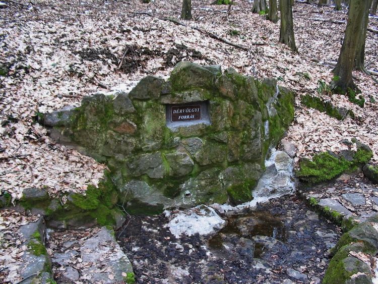 dervolgyi forras
