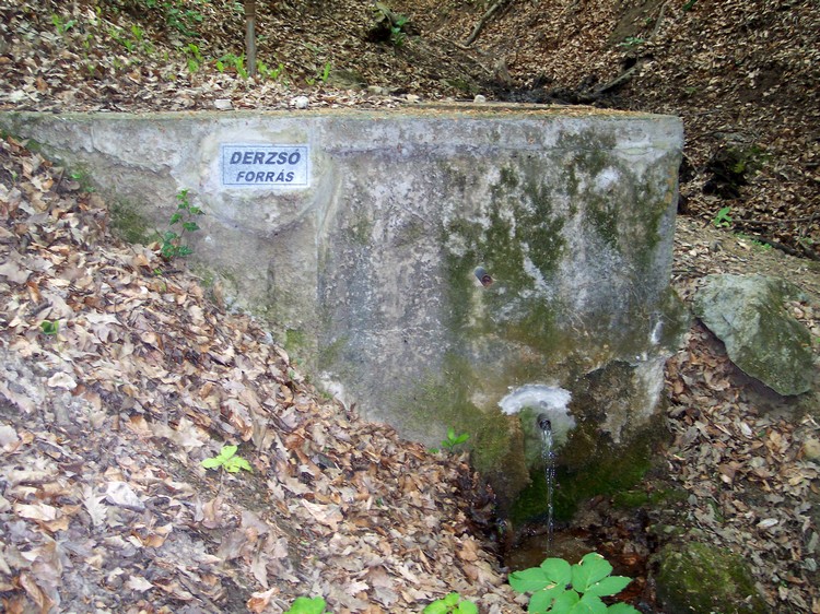 derzso forrras