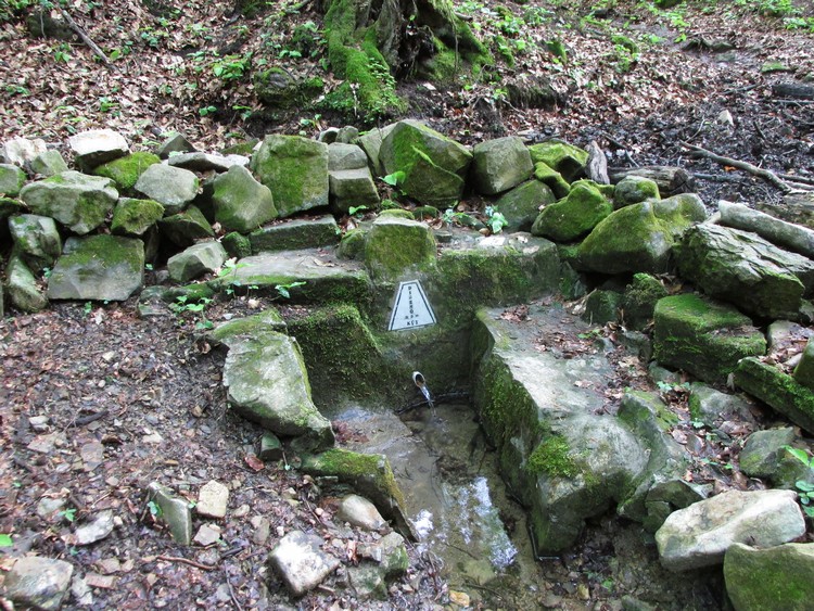 disznos kut2