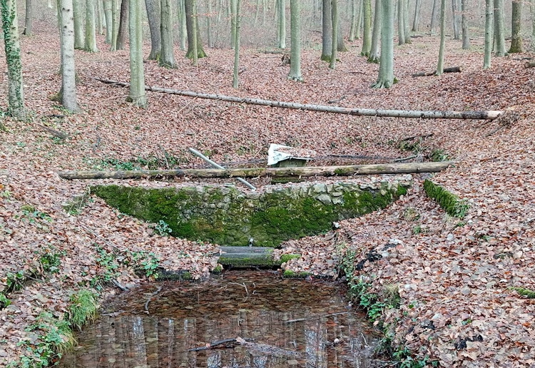 feneketlen kut2