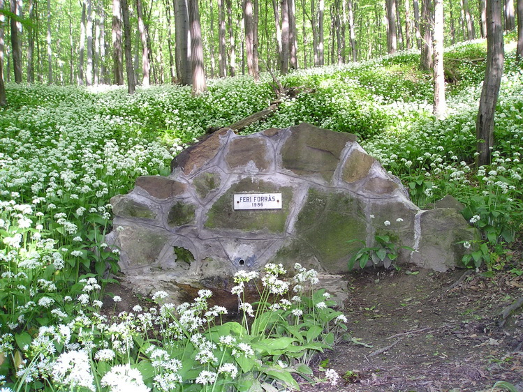 feri-forras