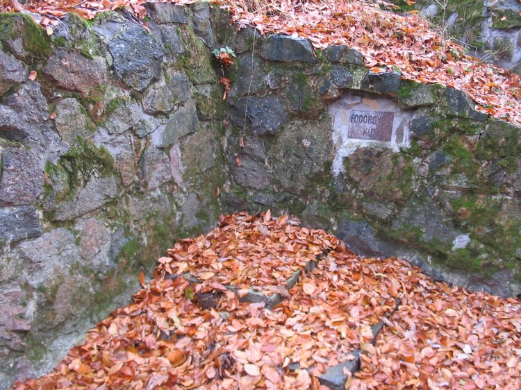 fodorgyopi kut