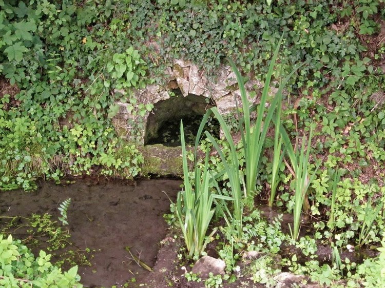 geiger forras