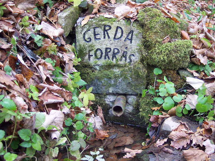 gerda-forras