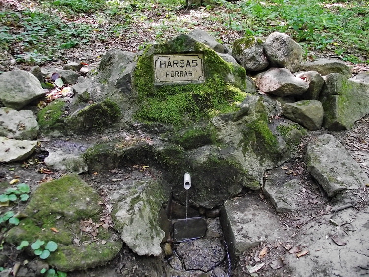 harsas forras2