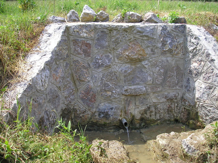 jamborka-forras