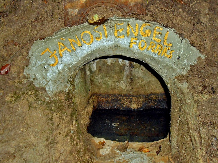 janosi engel forras
