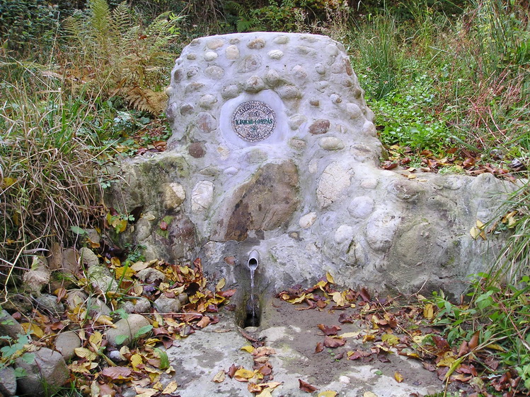 kalman-forras