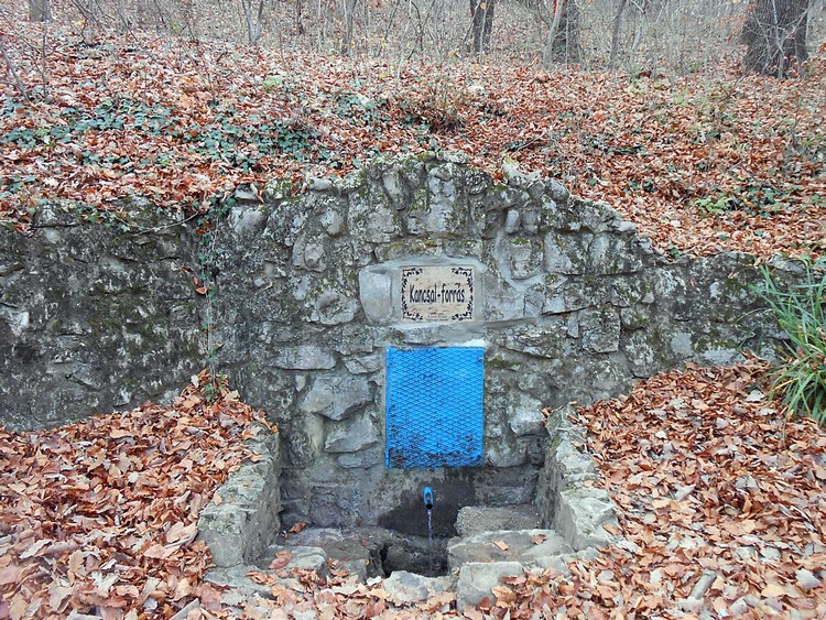 kancsal forras 2015