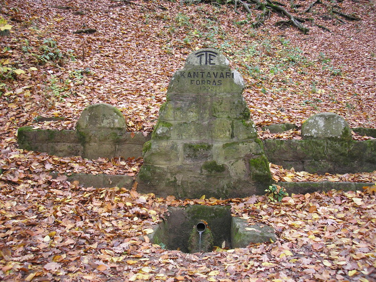 kantavari-forras
