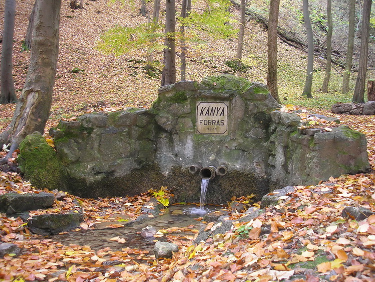kanya-forras