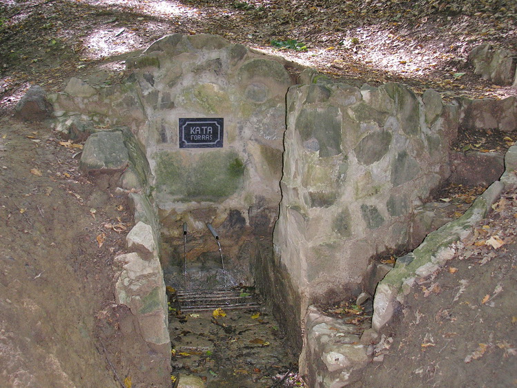 kata-forras