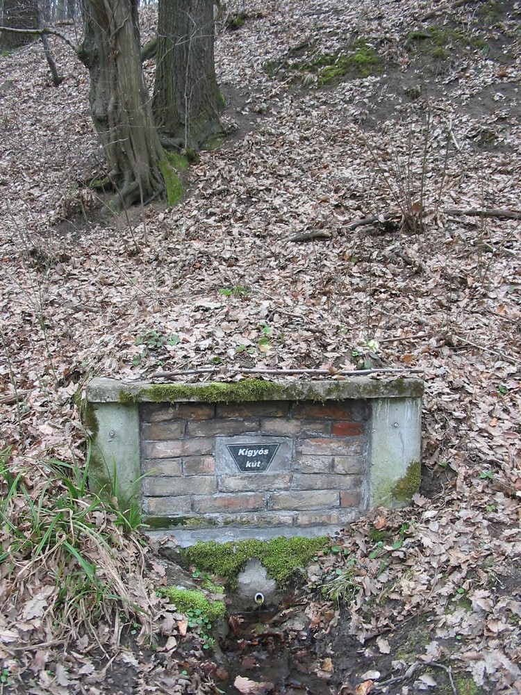 kigyos kut