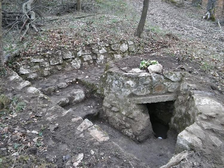 kis kut forras