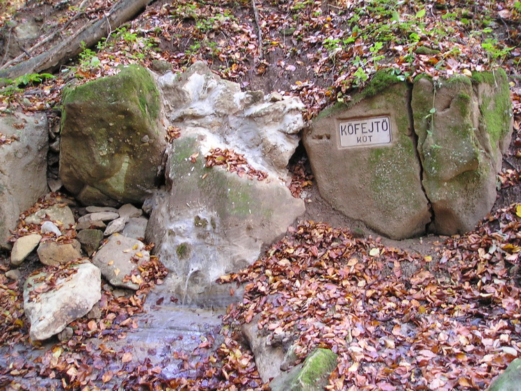 kofejto-kut