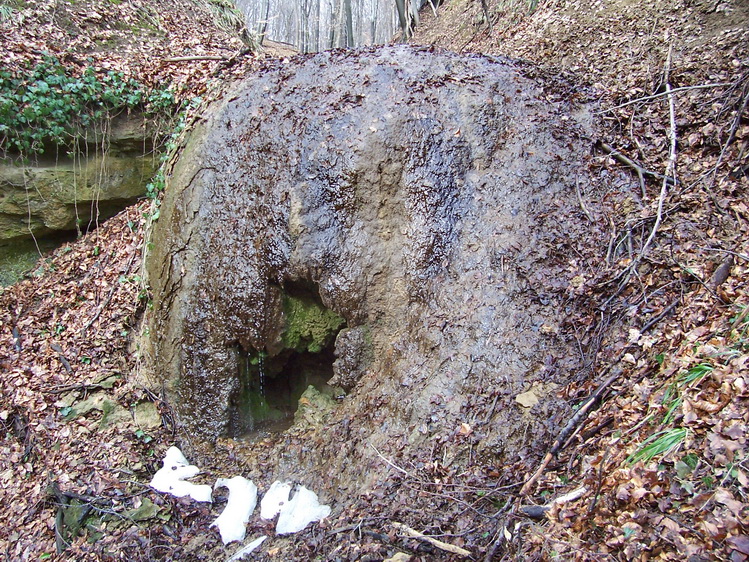 koponya-kut mesztufa