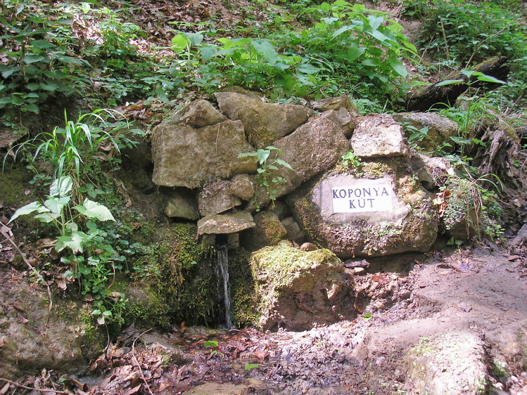 koponya-kut regi