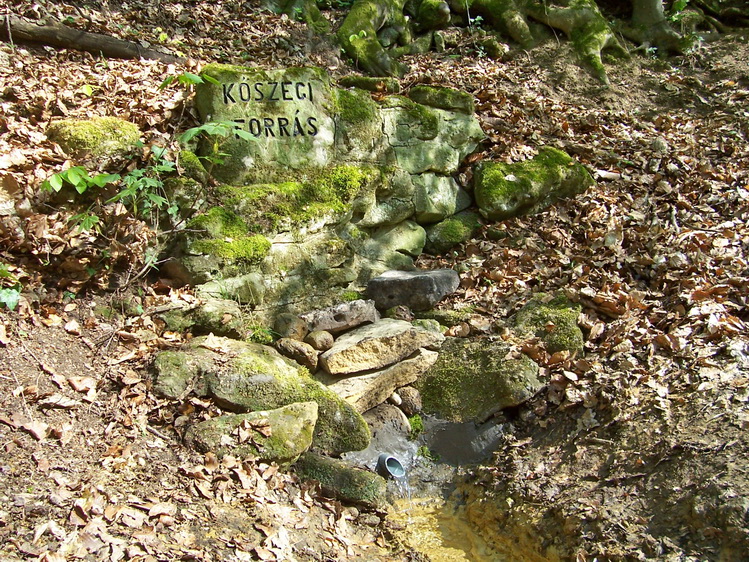 koszegi-forras