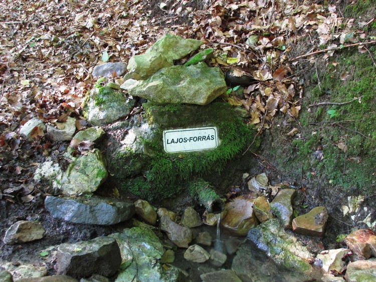 lajos forras2