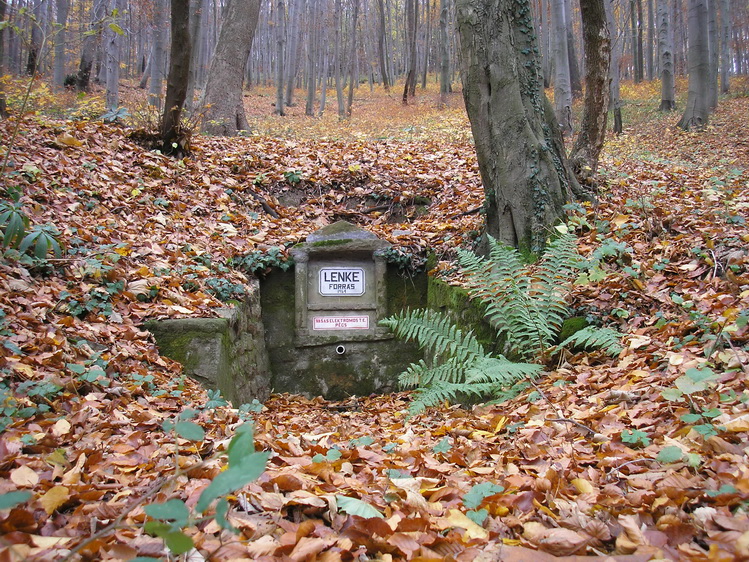 lenke-forras