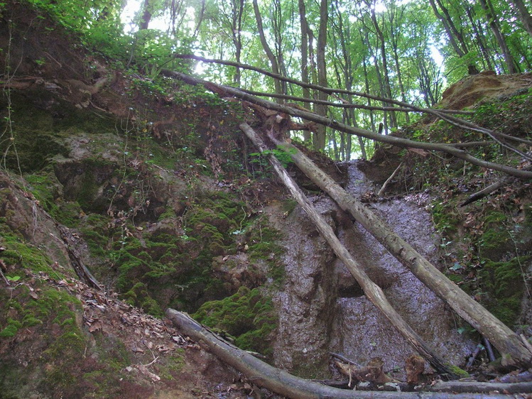 lozsi kut