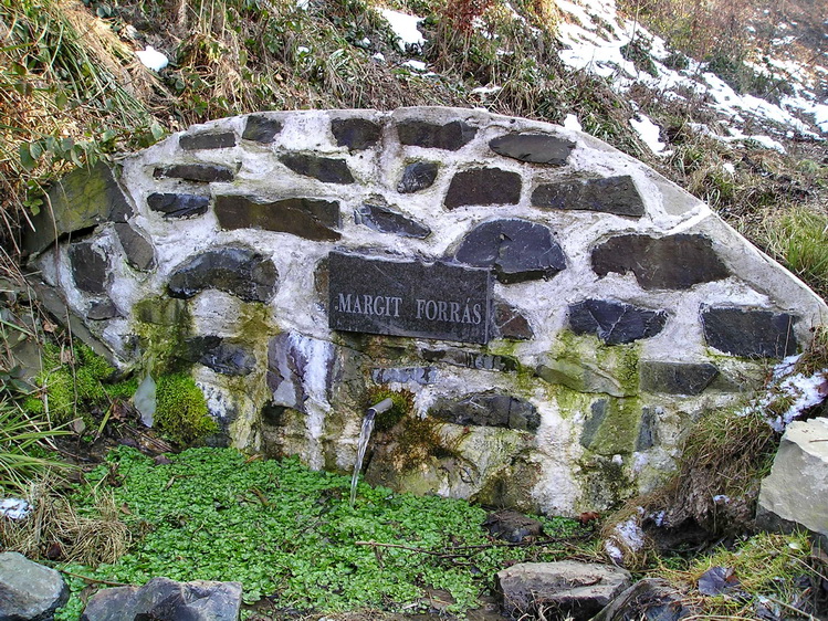 margit-forras