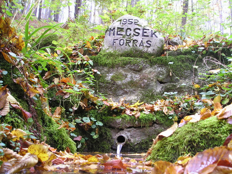 mecsek-forras