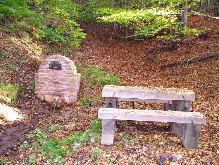 miska-forras