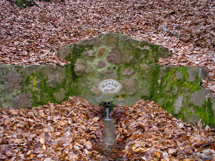 mohosikis-kut