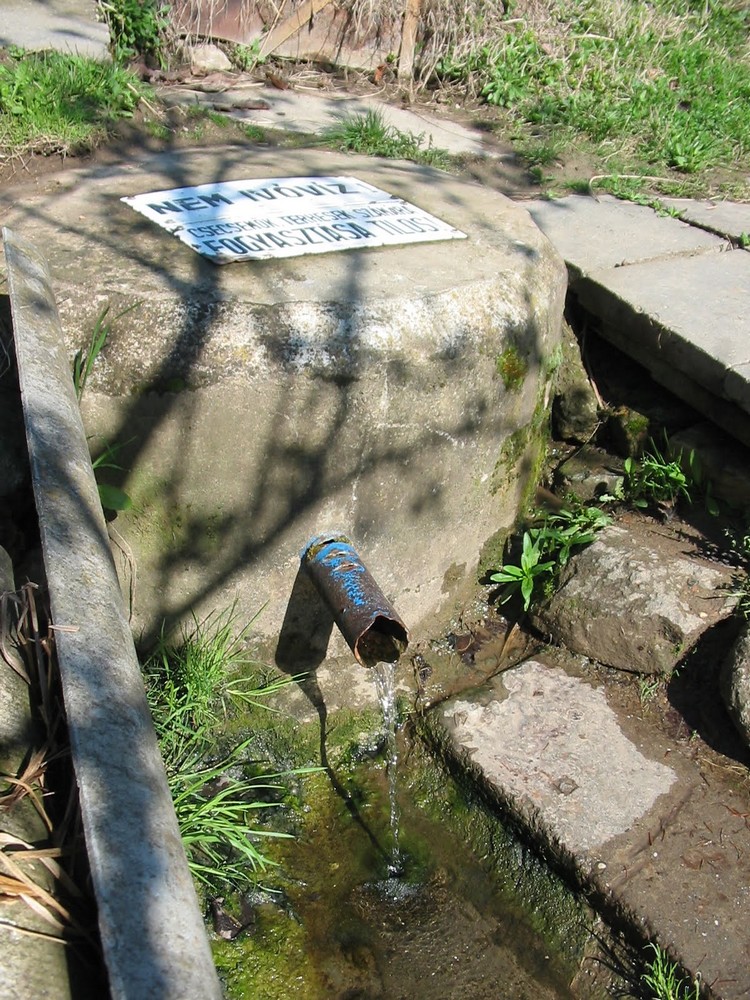 murom forras