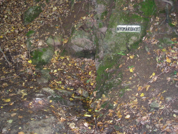 nyomakoi-kut
